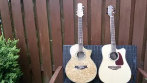 meine 6- und 12 saitigen Akustikgitarren