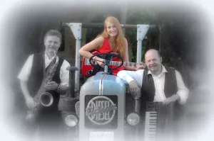 Version Hochzeitsband/Tanz/Party