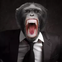 Avatar Monkeytones