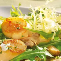 Avatar Damgartner Catering & Partyservice