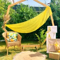 Avatar Details_eventdecoration