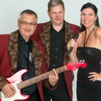 Avatar Coverband Partyline