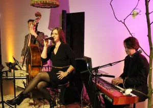 reLounge - stilvolle Barmusik