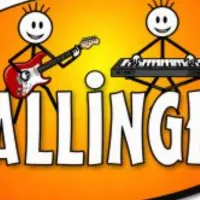 Avatar SALLINGER   -  SOLO oder DUO  - immer mit Power!