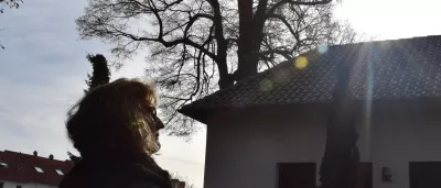 Titelbild Trauerfeiern und Tiertrauerfeiern