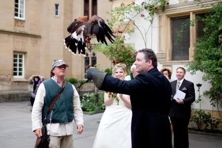Ein Bussard bringt dem Bräutigam die Ringe.