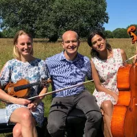 Avatar Dolice Klaviertrio Geige cello