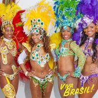 Avatar Samba Show & Brasilshow