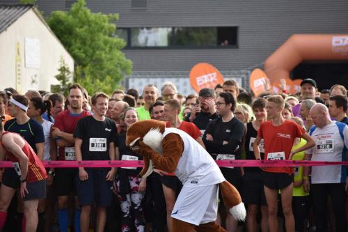 Sportevent in Jena 2019