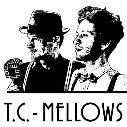 TC-Mellows Duo - Violine + Gitarre / smooth entertainment